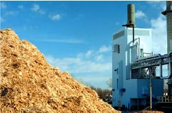 Biomass Congeneration